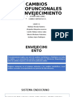 CAMBIOS MORFOFUNCIONALES DEL ENVEJECIMIENTO Endocrino