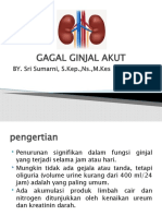 Gagal Ginjal Akut