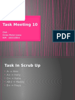 Task Meeting 10 