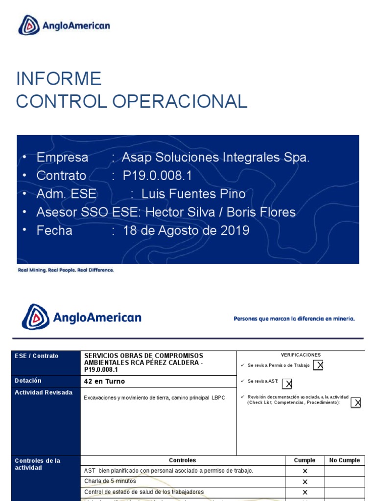 Informe de Control Operacional ESE 2019 | PDF