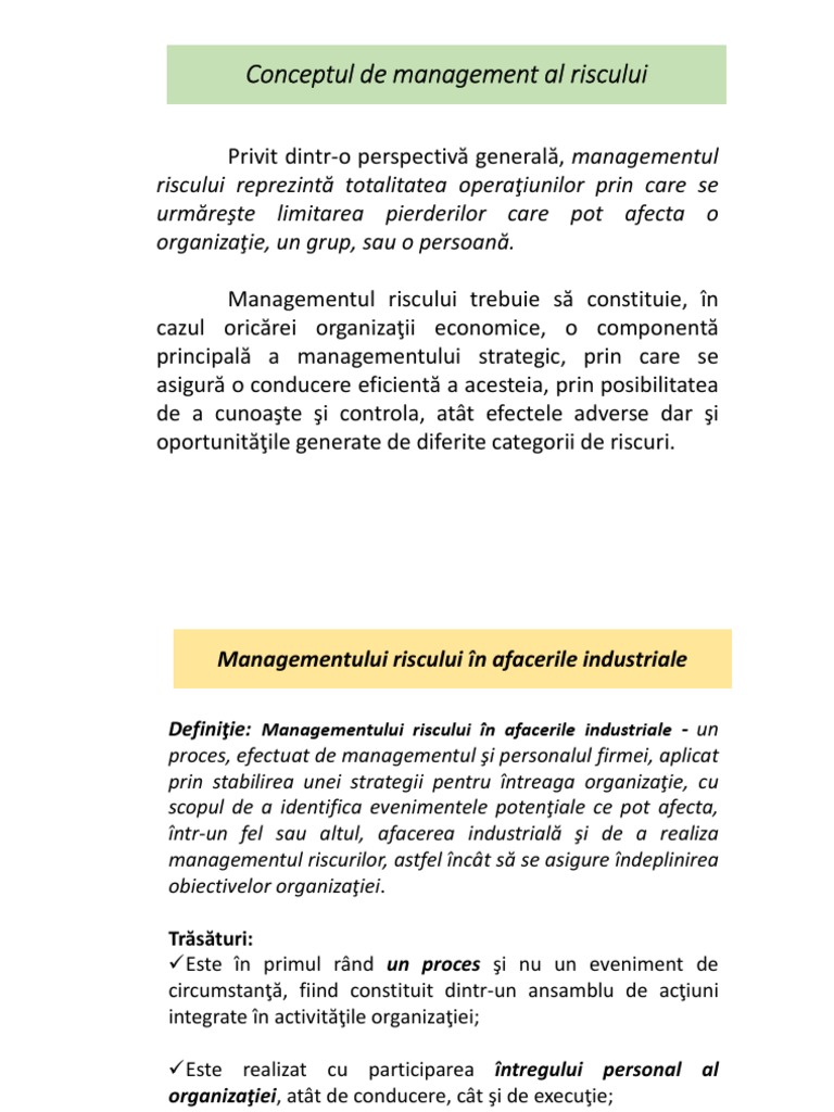 Managementul Riscului in Afaceri - Curs | PDF