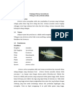 Deskripsi Hewan Invertebrata - Udang Artemia Salina - Nur Azizah - 03 - 18
