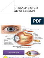 Konsep Askep Sistem Persepsi Sensori