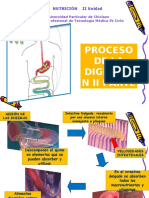 2.proceso de La Digestión II