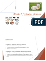 Modulo Productos Carnicos PDF