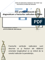 Studiu DG Fracturi Verticale