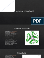 Biologia Insulina