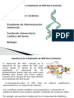 Importancia de La Replicacion Del ADN