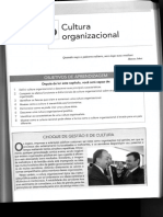 Comportamento Organizacional - Cap 16 - Cultura Organizacional PDF