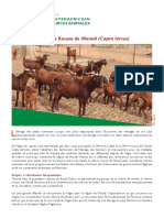 20151001_kya_chevre_rousse_october_2015_fr