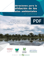Consideraciones Mercados Ambientales PDF