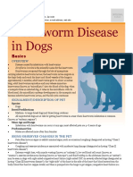 Heartworm Disease in Dogs: Basics