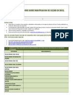 Informe Formato A Celdas en Excel Cji
