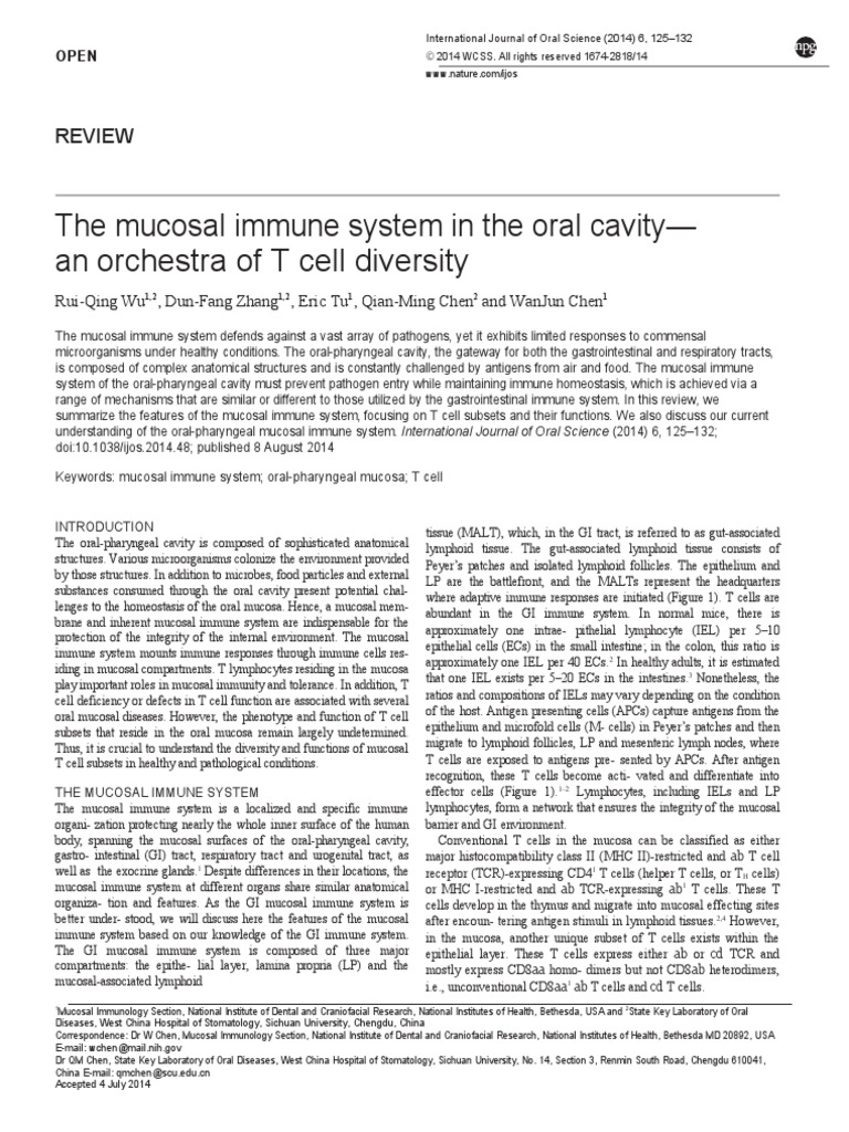 The Mucosal Immune System in The Oral Cavity - An Orchestra of T Cell ...