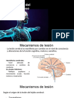 Semana 8 - Fisiopatología Del SNC I - ACV - 2019 2