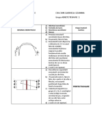 Tema Volei (1 Aprilie) PDF