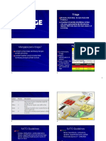 Triage PDF