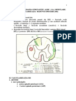 Topografia SA medulare. Vasc.MS -  lp2.docx