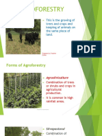 Agroforestry Notes PDF