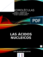 Las biomoléculas acidos nucleicos