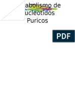 Metabolismo de Nucleotidos Puricos