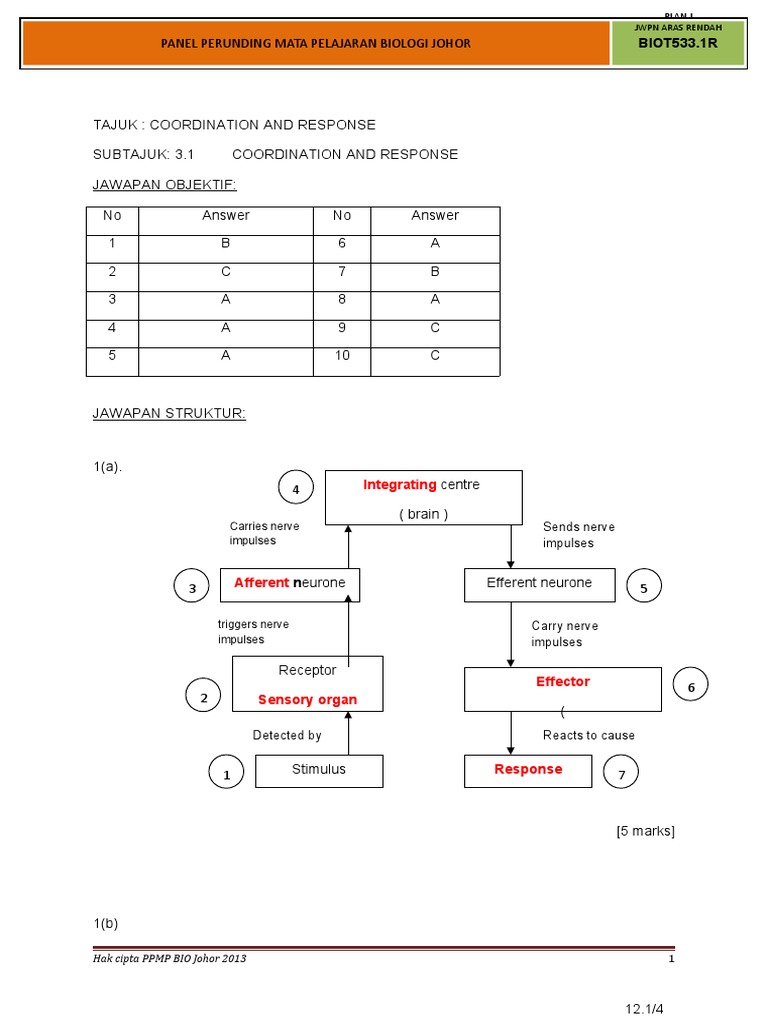 Biology Coordination and Response Guide | PDF | Stimulus (Physiology ...