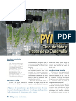 CICLO VIDA ORGANIZACIONES.pdf