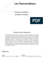 Proyecto Narcocultura PDF