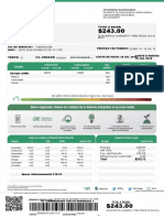 Cintia L Moreno S: Total $243.13