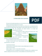 A Primavera Das Ocarinas - A4 - Sukeyuki Imanishi PDF