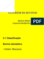 Exterior de bovinos: classificação, raças e regiões do corpo