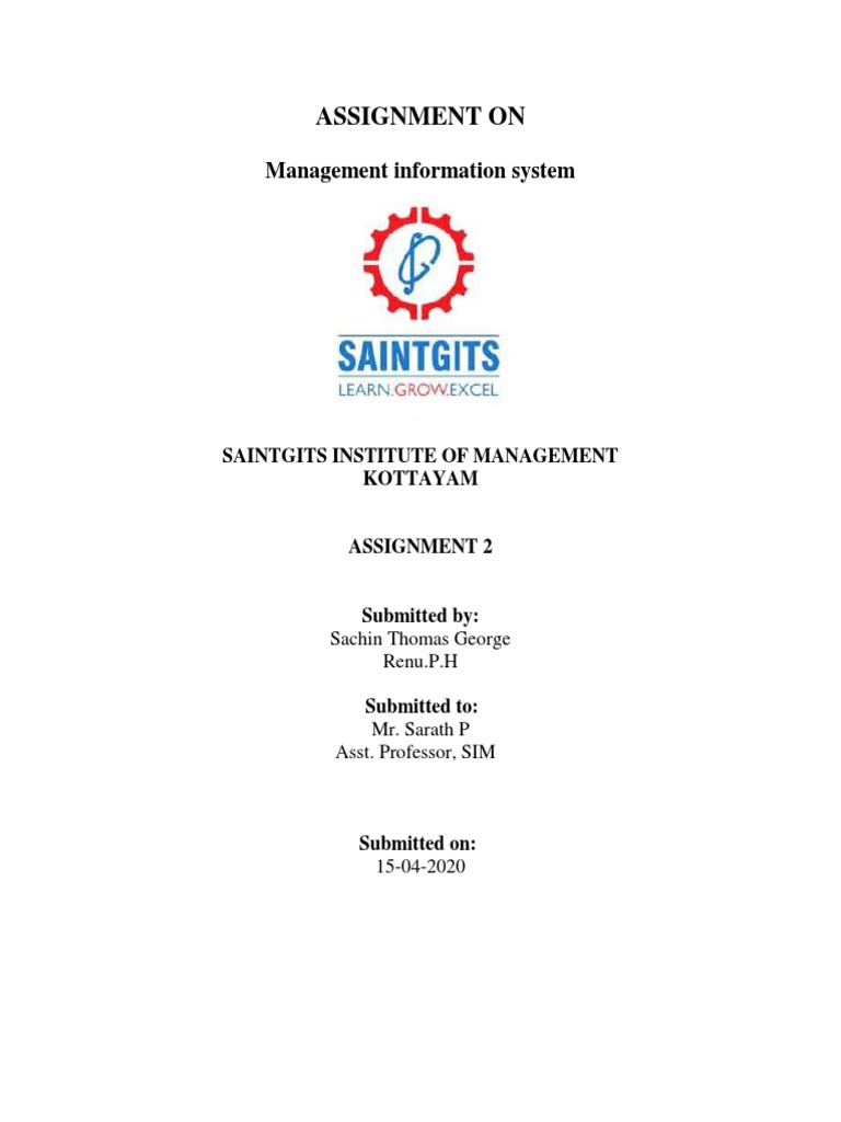 Assignment On: Management Information System | PDF