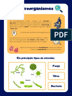 Microorganisms Flashcard