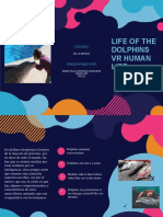 Dolphin Communication and Human Connections