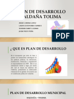 Plan de Desarrollo Saldaña Tolima 2015-2019