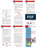 PDH_2010_cast.pdf