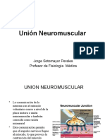 Union Mioneural