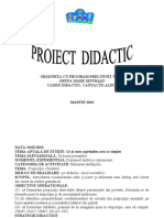 338 Proiect Didactic