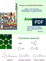 Амины_сайт.pdf