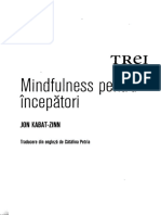Mindfulness Pentru Incepatori PDF