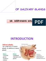 Anatomy of Major Salivary Glands