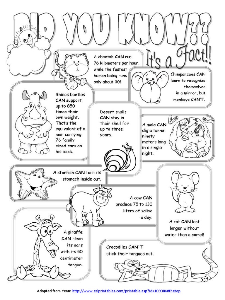Animal Facts 2 | PDF