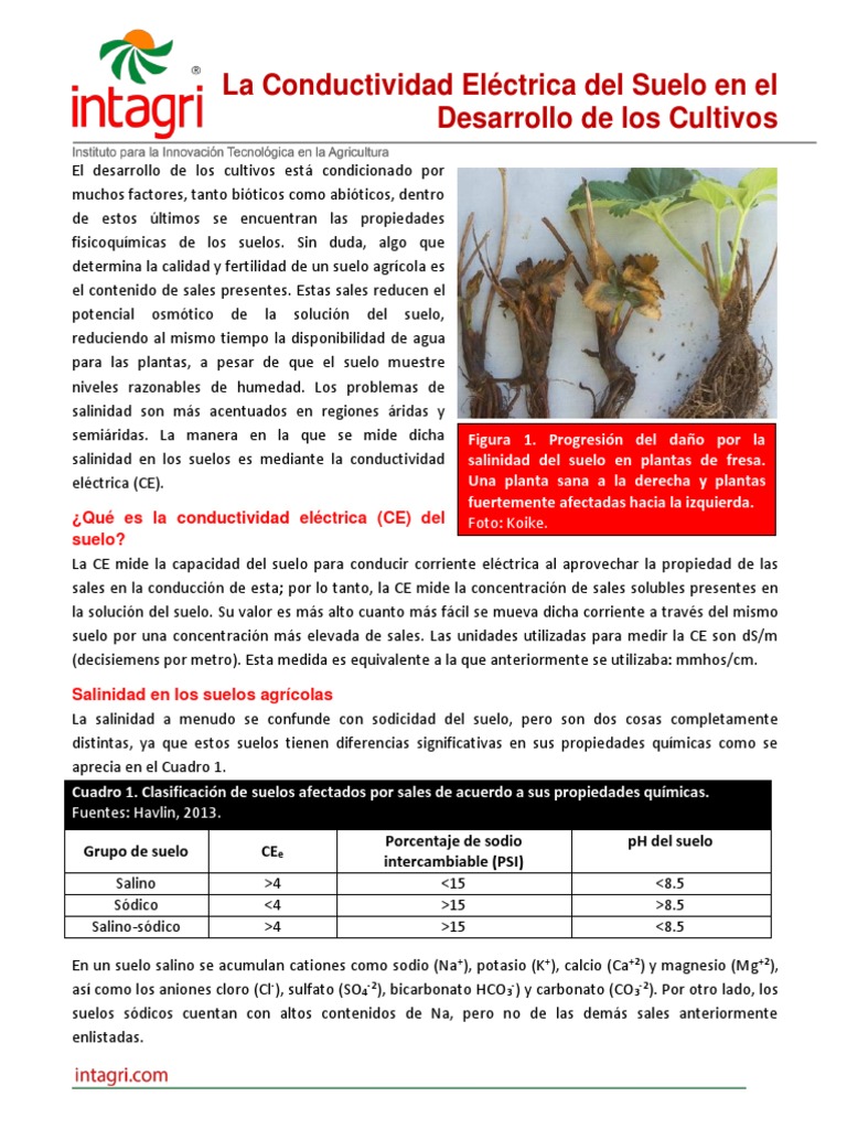 la-conductividad-electrica-del-suelo-en-el-desarrollo-de-los-cultivos