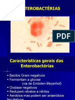 Enterobactérias