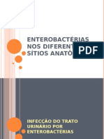 Enterobactérias nos diferentes sítios anatômicos