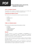 Significado y Definicion de Las Estructuras Halladas en Un Sedimento Urinario