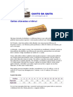 Curso Completo de Gaita