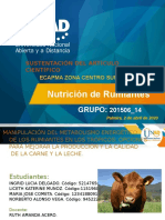 Grupo_14 Nutrición de Rumiantes Fase 4.
