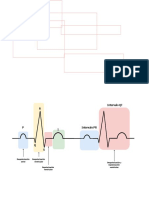 Onda ECG PDF