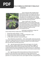 Download Khasiat Daun Alpukat by Putri Khoirin SN45644086 doc pdf